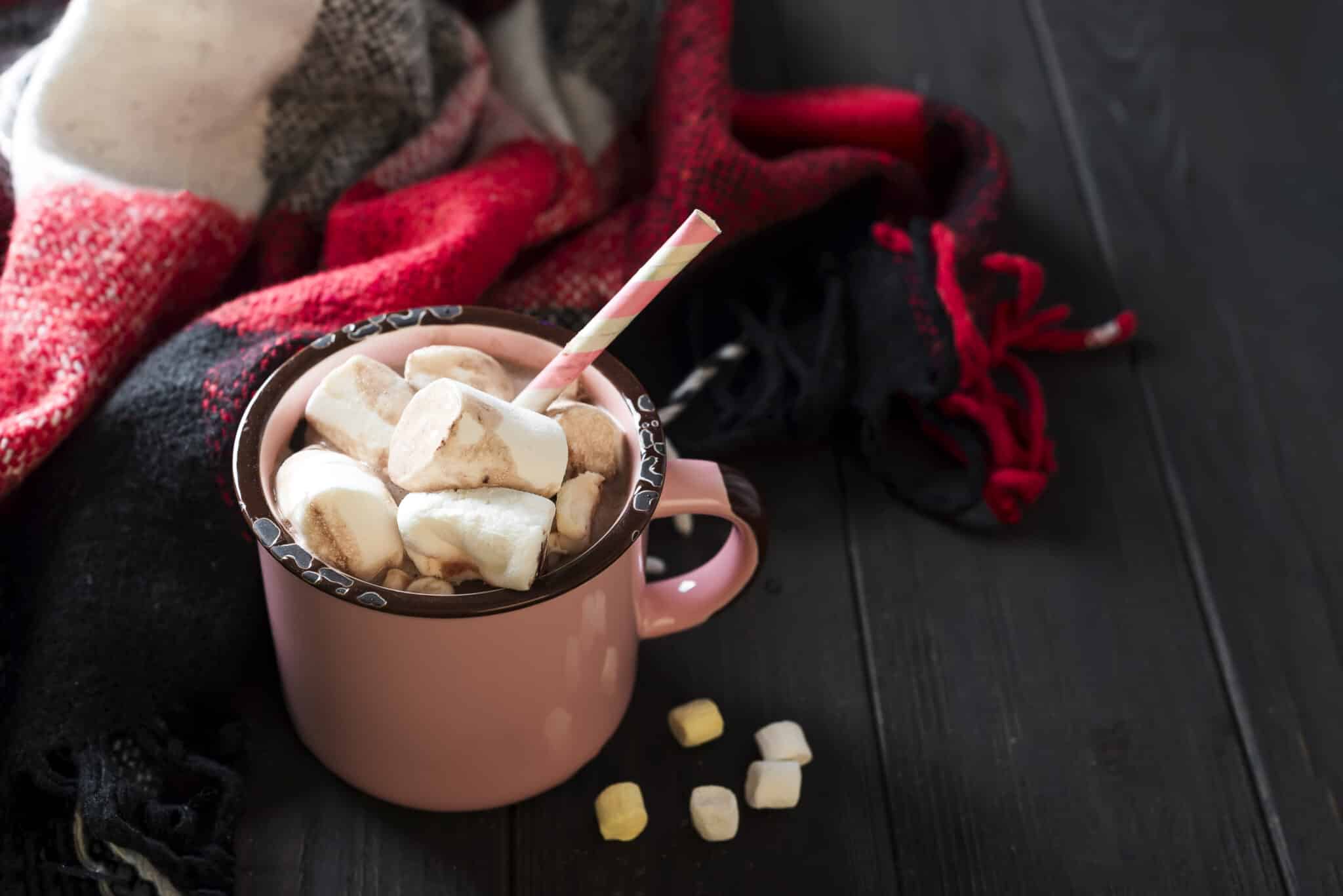 mug of hot chocolate and marshmallows