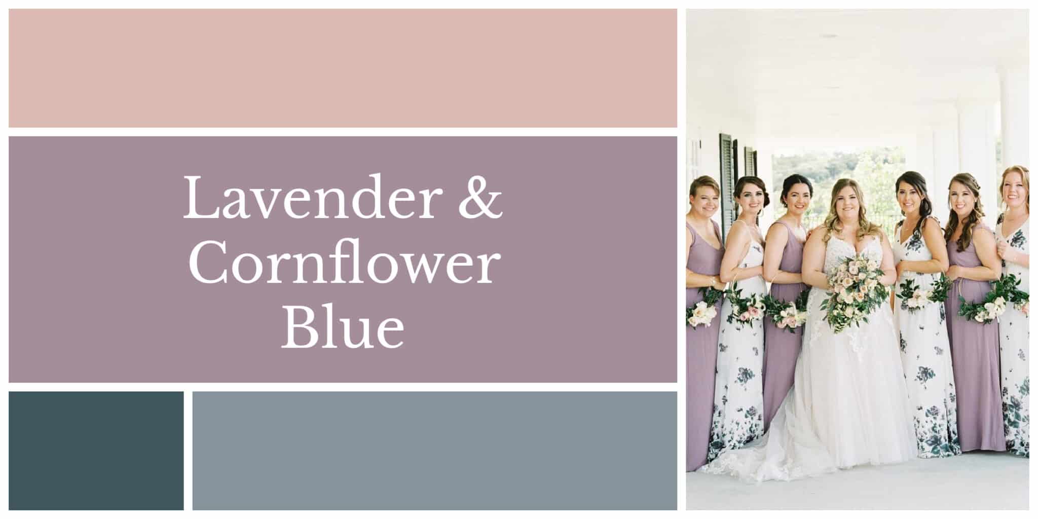 Lavender and cornflower blue color palette