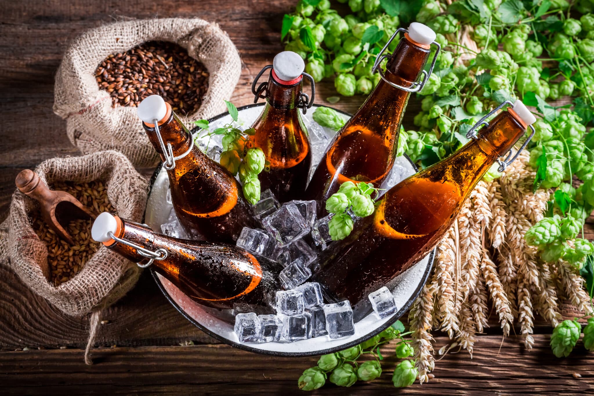 craft beer bottles in bucket with ice